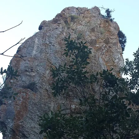 Casa Del Pi Frühstückspension La Llacuna