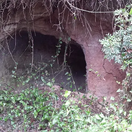 Casa Del Pi 3* La Llacuna