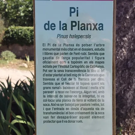 Bed and breakfast Casa Del Pi 3*