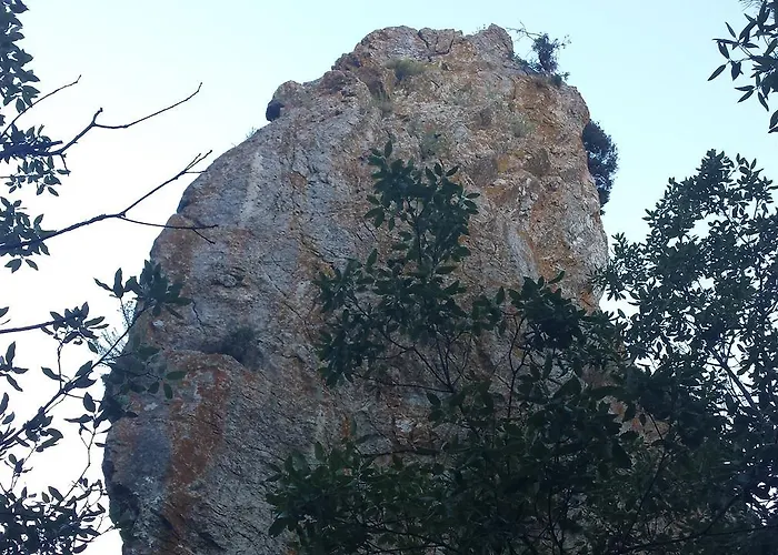 Casa Del Pi Oda ve Kahvaltı La Llacuna