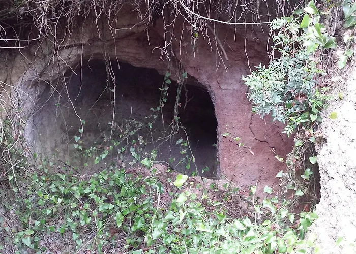 Casa Del Pi 3* La Llacuna